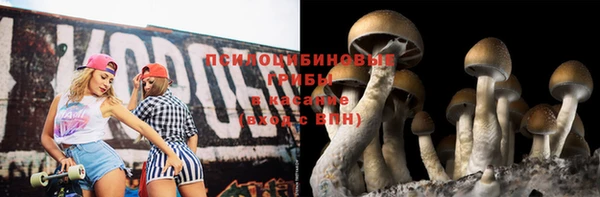 мяу мяу мука Алексеевка
