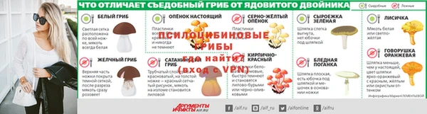 мяу мяу мука Алексеевка