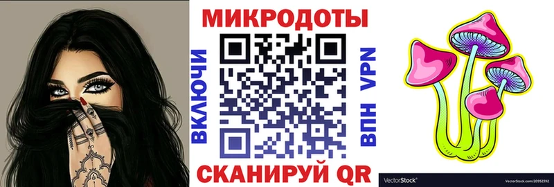 Галлюциногенные грибы мицелий купить наркотик mega Лахденпохья